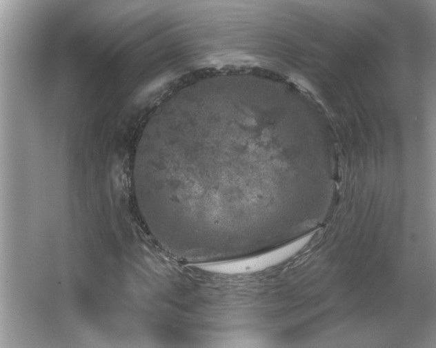 X0000065971063200603031123