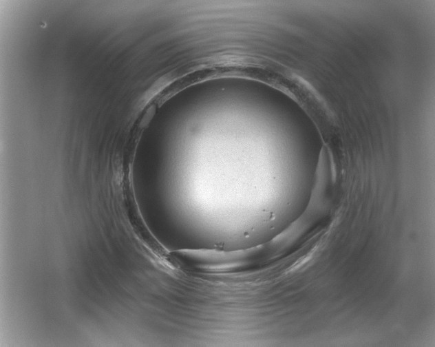 X0000065971065200603031123