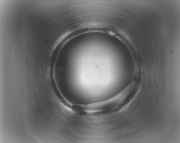 X0000065971066200603031123