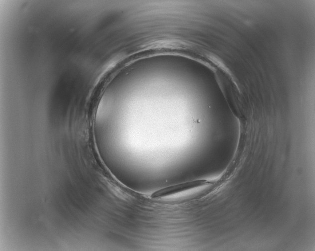 X0000065971067200603031123