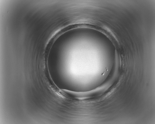 X0000065971069200603031122