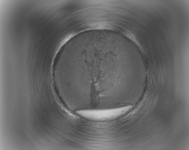 X0000065971071200603031122