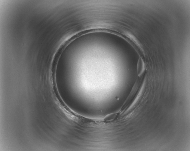 X0000065971072200603031122