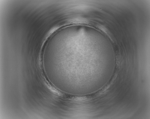 X0000065971074200603031122