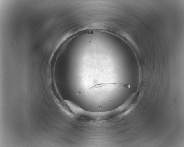 X0000065971075200603031122