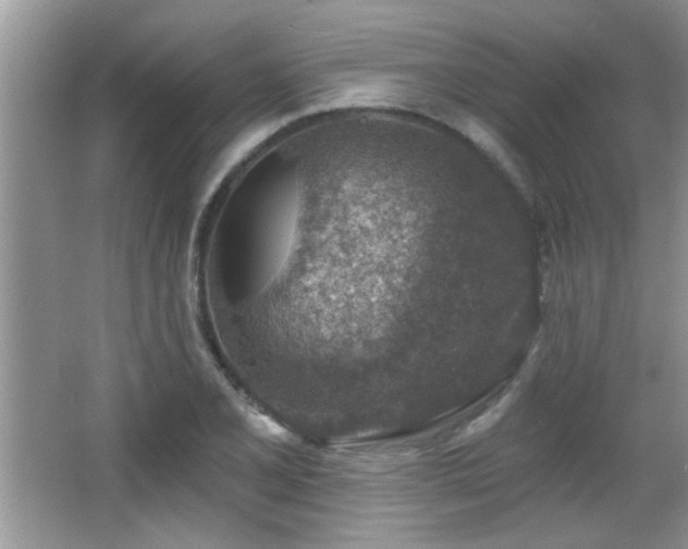 X0000065971077200603031122