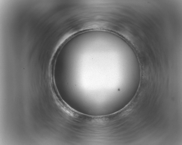 X0000065971078200603031122