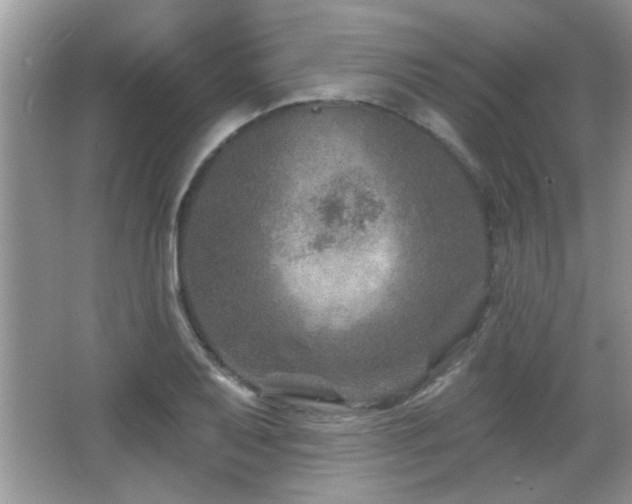 X0000065971079200603031122