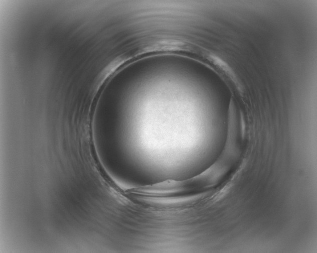 X0000065971081200603031122