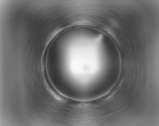 X0000065971082200603031122