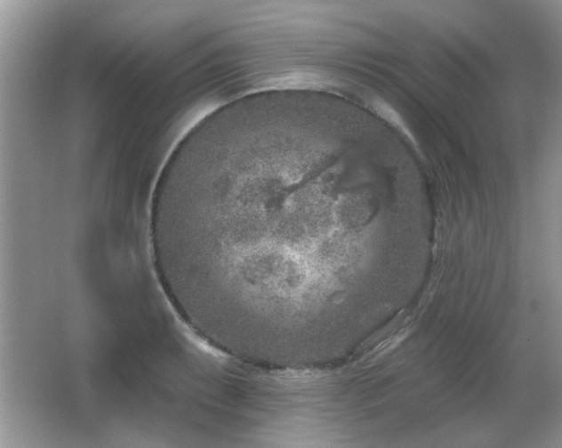 X0000065971087200603031122