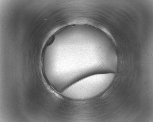 X0000065971088200603031122