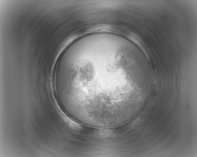 X0000065971090200603031122