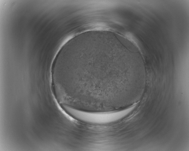 X0000065971095200603031122