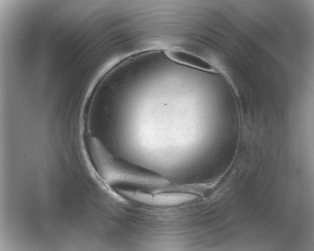 X0000065971096200603031122