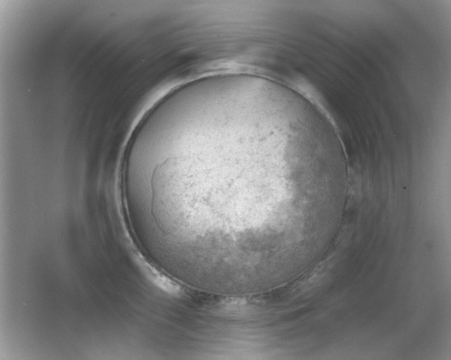 X0000065971098200603031122