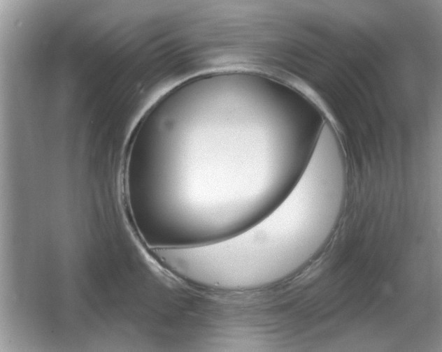 X0000065971101200603031122