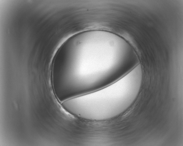 X0000065971102200603031122