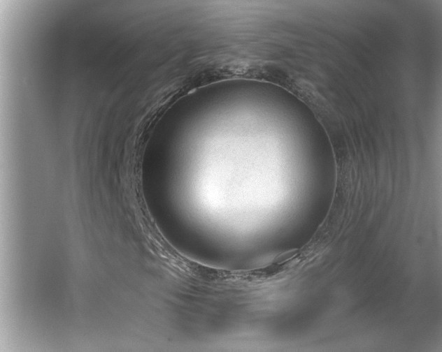 X0000065971105200603031121