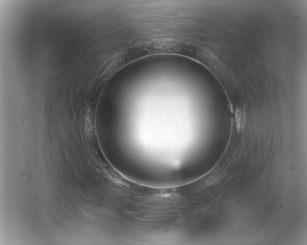 X0000065971107200603031121