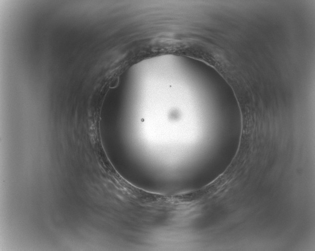 X0000065971109200603031121