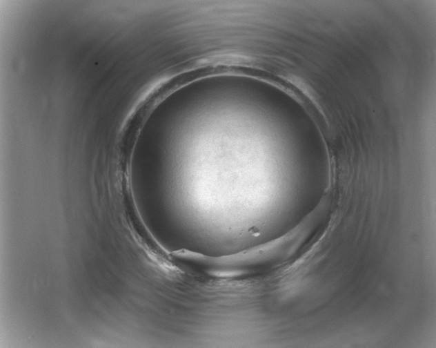 X0000065971115200603031121