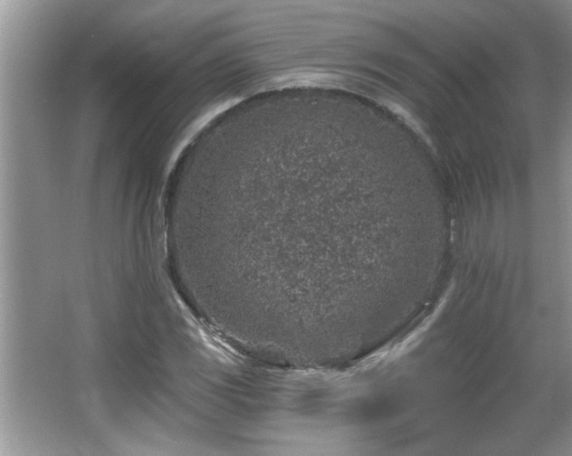 X0000065971117200603031121