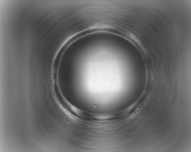 X0000065971124200603031121