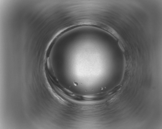 X0000065971132200603031122