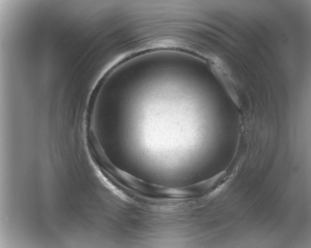 X0000065971134200603031122