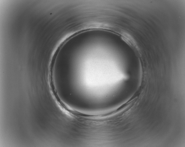 X0000065971136200603031122