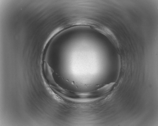 X0000065971138200603031122