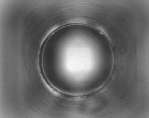 X0000065971139200603031122