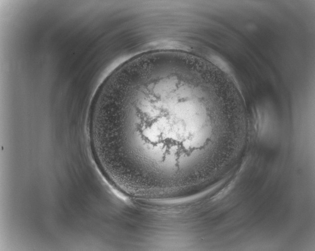 X0000065971141200603031122