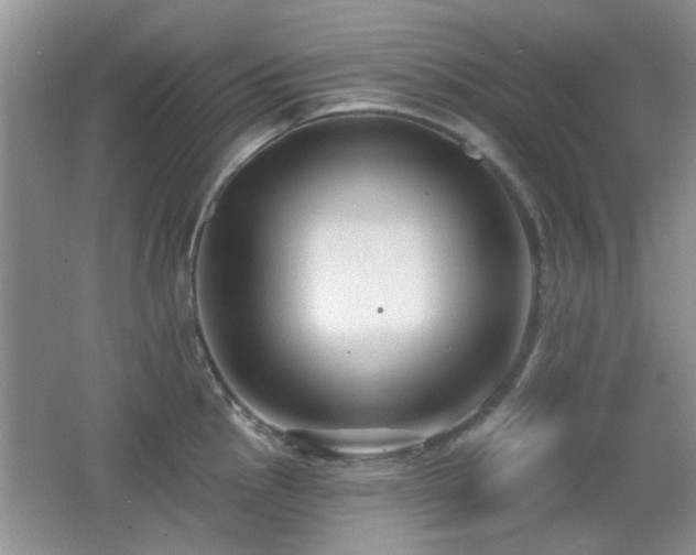 X0000065971145200603031122