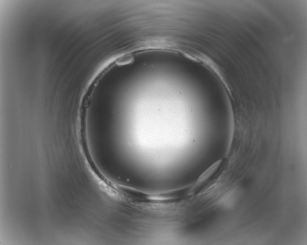 X0000065971147200603031122