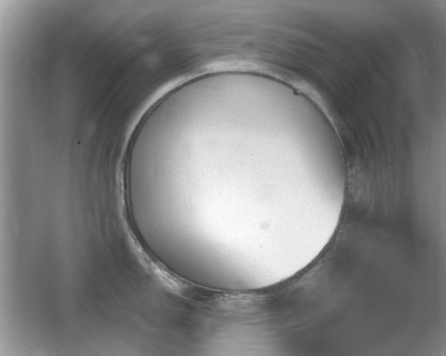 X0000065971150200603031122