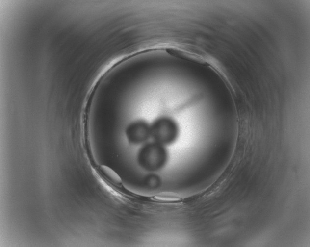 X0000065971151200603031122