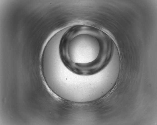 X0000065971152200603031122