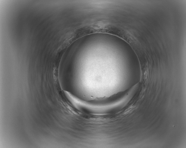 X0000065971156200603031121