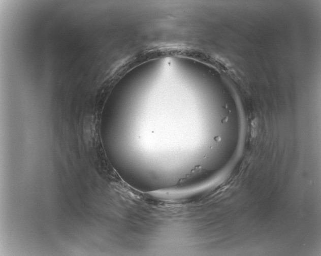 X0000065971157200603031121