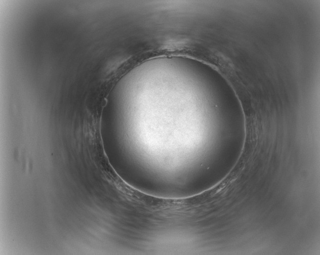 X0000065971158200603031121