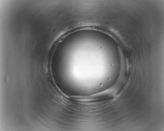 X0000065971165200603031121