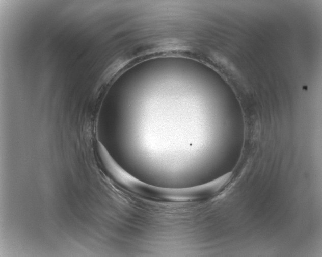 X0000065971169200603031121