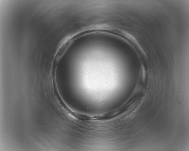 X0000065971176200603031121