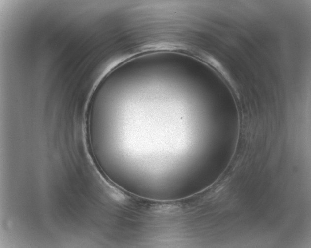 X0000065971187200603031120