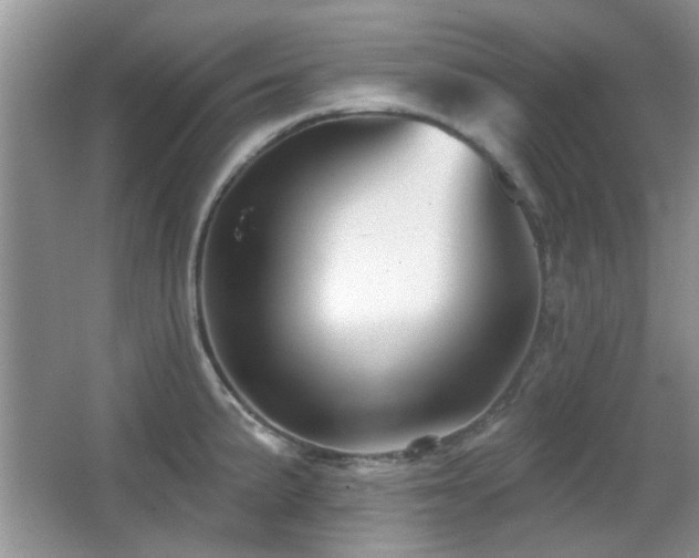 X0000065971191200603031120