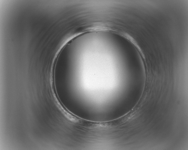 X0000065971195200603031120