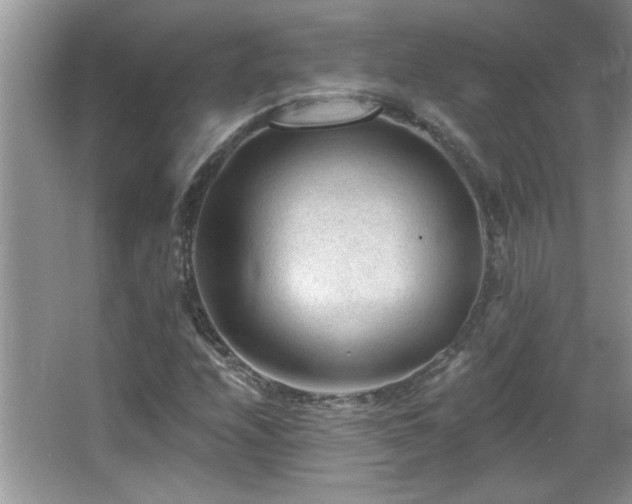 X0000065971208200603031120
