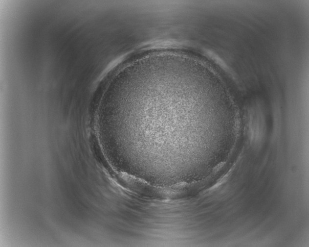 X0000065971213200603031120